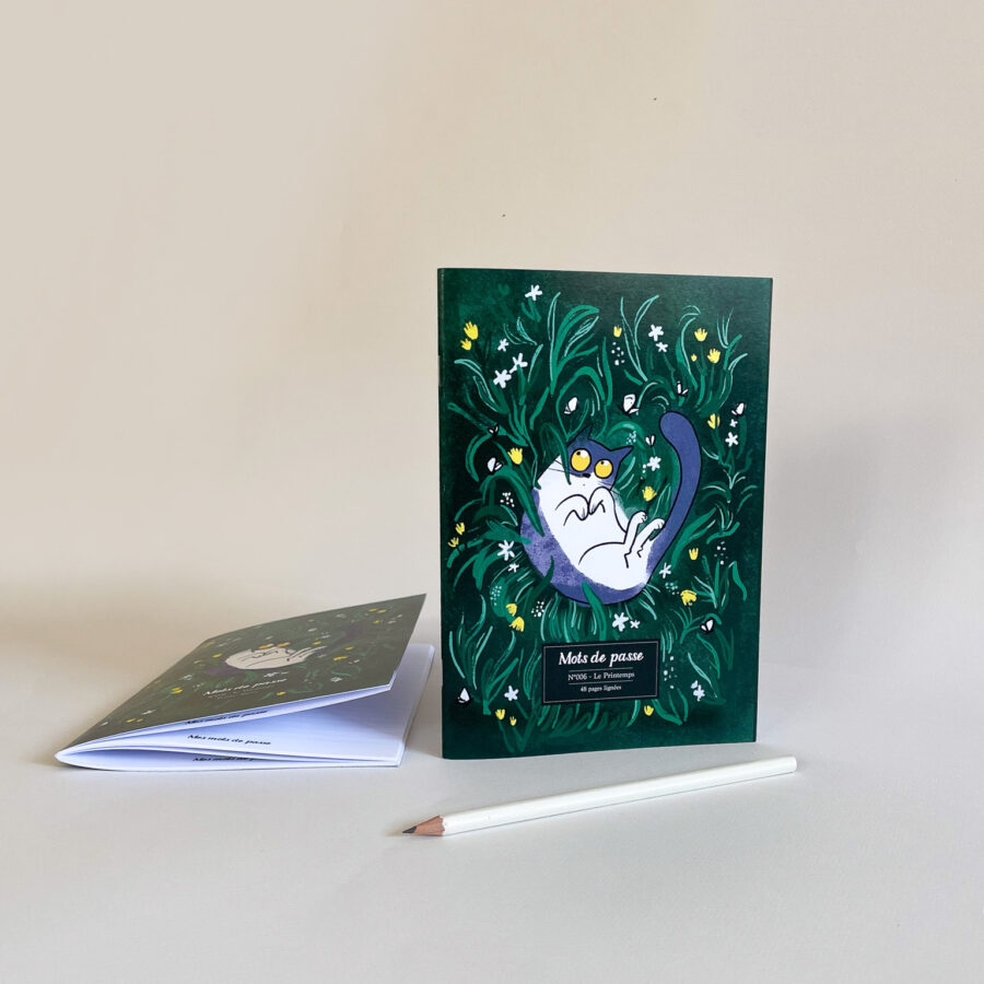 NOUVEAU Carnet A5 - Les Mots de Passe